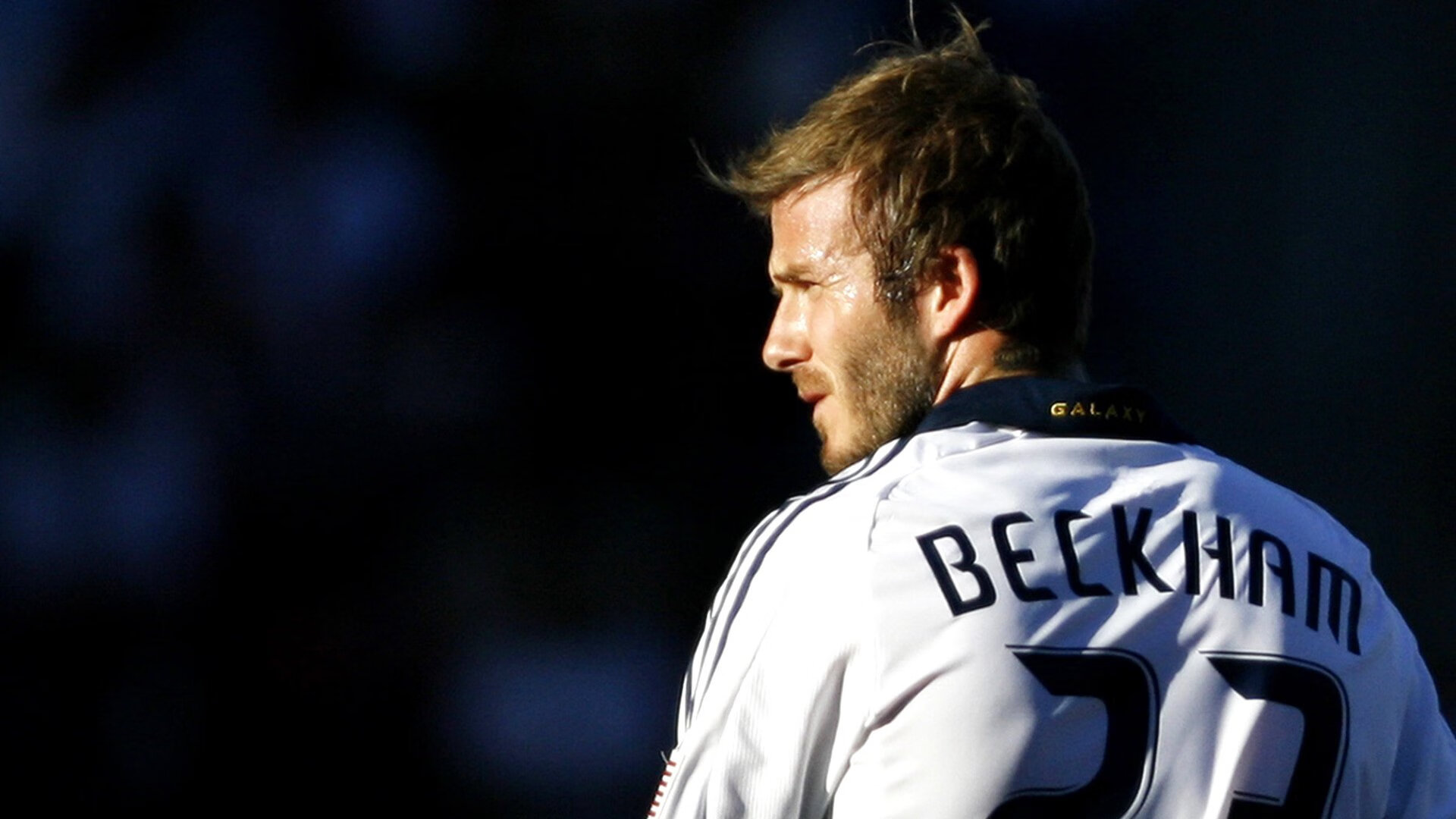 MMA赛事观众人数增长，mma赛事在哪看